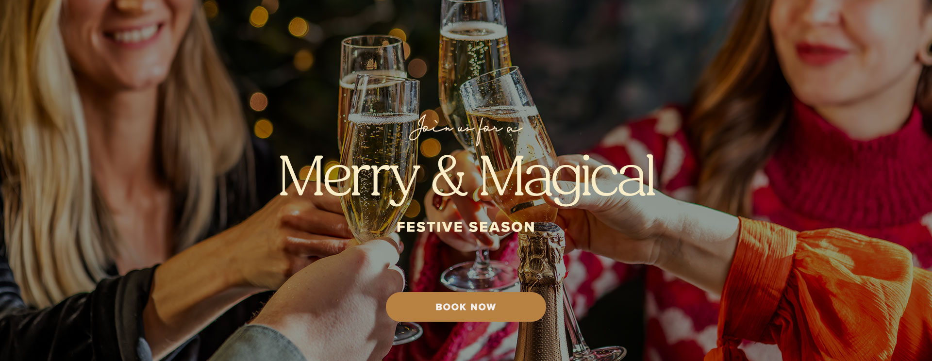 Christmas 2025 at Cardiff